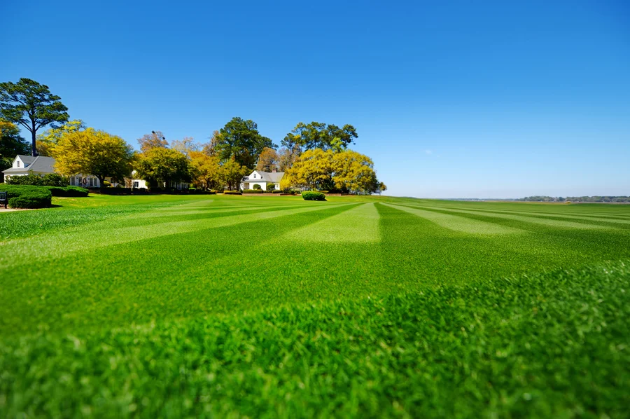 How Regular Lawn Care Enhances Curb Appeal And Property Value in Rutland, VT How Regular Lawn Care Enhances Curb Appeal And Property Value in Rutland, VT