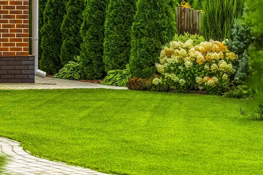 Premium Lawn Care Rutland, VT Premium Lawn Care Rutland, VT